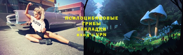 spice Абинск