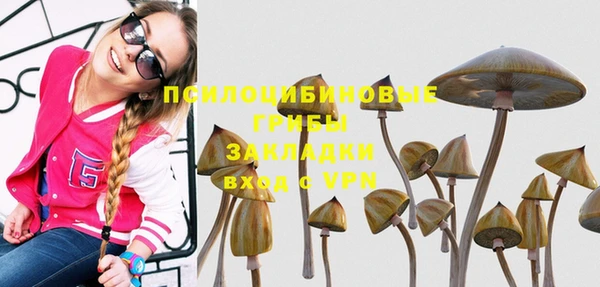 spice Абинск